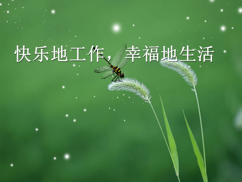 幸福的生活(幸福的生活千篇一律,不幸的生活)